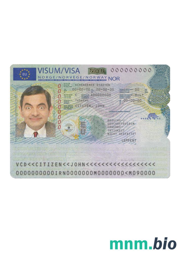 Przykład wizy Schengen do Norwegii w PSD